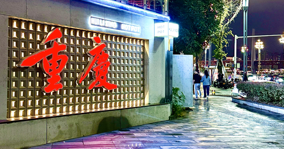 怎么查询公司域名密码