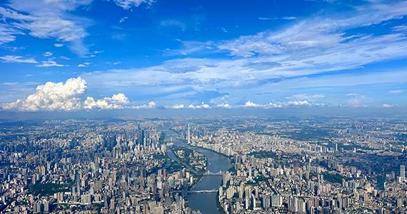 甘肃域名注册查询代理公司