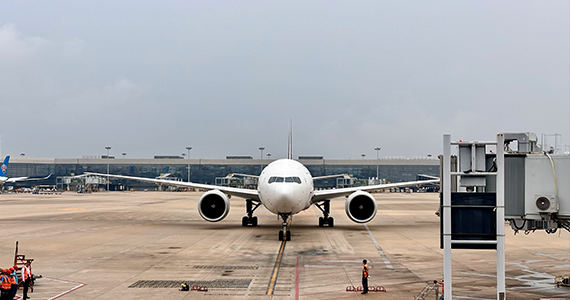 怎么查询域名是哪个公司注册的