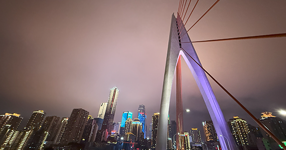 怎么查询域名所属公司