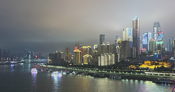 上海注册公司查询域名审核状态