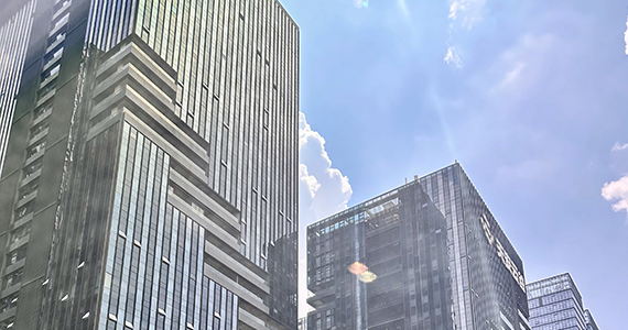 四川域名注册查询公司官网